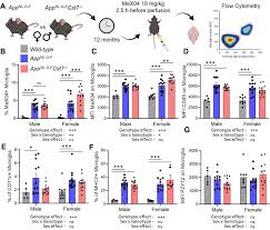 Cystatin F (Cst7) drives sex-dependent changes in microglia in an  amyloid-driven model of Alzheimers disease | eLife