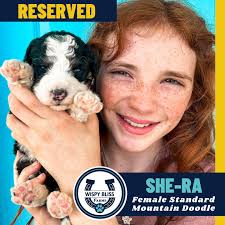 Wispy Bliss Farms added a new photo.