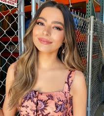 ex novios de #mirandacosgrove #maxehrich #natwolff #diegoboneta