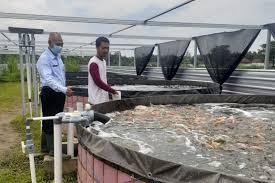 Infrastruktur menjadi poin penting sebuah desa untuk meningkatkan pertumbuhan ekonomi. Budi Daya Perikanan Sebuah Upaya Meningkatkan Ekonomi Masyarakat