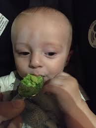 Serving meat to family members who haven't adopted vegan lifestyle