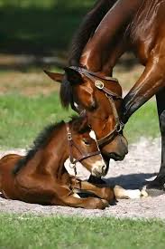 My Little baby need a sweet name ❤️