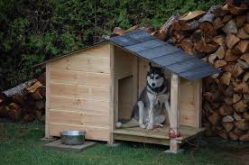 Construire Une Niche Pour Chien En Palette Construireunenichepourchienenpalette Cool Dog Houses Dog House Diy Dog House Plans