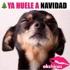 Facebook'ta memes de navidad'ın daha fazla içeriğini gör. Cada Vez Falta Menos Navidad Memes Chistosisimos Memes Divertidos Memes Graciosos
