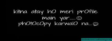 Yeah, a funny fb bio will give your profile that little extra. Funny Profile Quotes For Girls Quotesgram