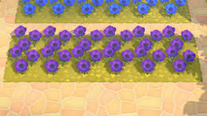 However, if you plant specific colors close together, you can produce new colors like pink, purple, and even black. How To Make Purple Windflowers Acnh Animal Crossing New Horizons Switch Game8