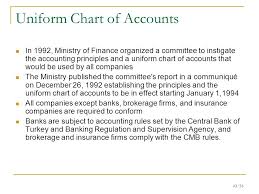 Overview Of Accounting Environment And Financial Statements