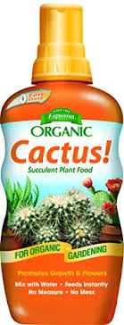 Succulent soil has to be able to support the plants physically, hold a little moisture and nutrients, yet. Top 8 Best Fertilizers For Succulents 2021 Reviews Earthpods