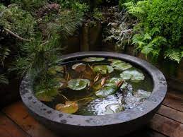 Dreaming In A Japanese Garden Indoor Water Garden Container Water Gardens Small Backyard Gardens