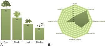 Image result for Antherotoma senegambiensis