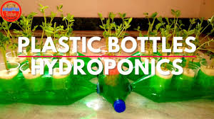 In simple words hydroponic gardening means growing plants in water. Diy Hydroponics How To Build A Hydroponics System With Plastic Bottles For Balcony Garden 2020 Youtube