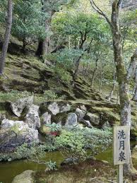 日本 京都銀閣寺 小蘋果兒花園 痞客邦 plants tree tree trunk