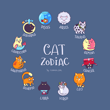 Presenting You A Cat Astrology Chart What Is Your Sign