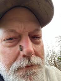 Importance of teamwork and unity