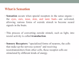 Image result for Sensation