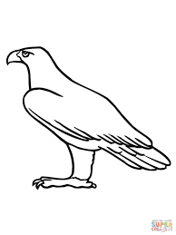 Aigle Royal De Profil Super Coloring Coloring Pages Eagle Bird Drawings