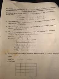 Heterozygous round eyes, blue body _rryy_____ body color 2. Solved The Following Dihybrid Cross Involves Two Traits I Chegg Com
