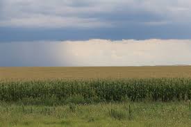 Some of the financing companies are land owners and farmers who understand the needs and challenges of those who are looking to buy land and engage in agribusiness. Shadden Farm Stratford Texas Sherman County