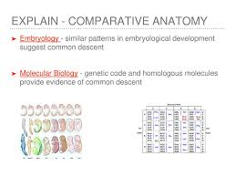Darwin Presents His Case Ppt Download