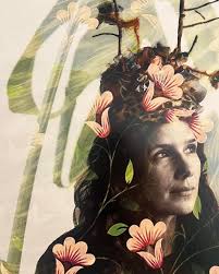 HancockSolarGallery (@hancocksolargallery) • Instagram photos and videos