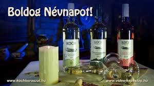 We did not find results for: Nevnapi Koszonto Ferfiaknak