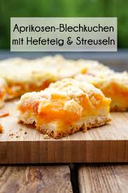 Aprikosen Blechkuchen Mit Streuseln Wie Bei Oma Jenny Is Baking Rezept In 2020 Aprikosen Blechkuchen Aprikosenkuchen Mit Streusel Hefeteig