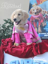 Free shipping on qualified orders. The Fluffiest Meet Greet Ever Superbuddies Dog Costumes Air Buddies Movies Spooky Buddies