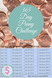 365 Day Penny Saving Challenge 668 After One Year