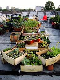25 Beautiful Rooftop Gardens Repurposed Planter Urban Garden Rooftop Garden
