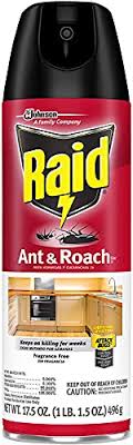 Buy raid ant & roach killer spray fragrance free and enjoy free shipping on most. Raid Roach Spray Review Updated For 2021 Pests Org