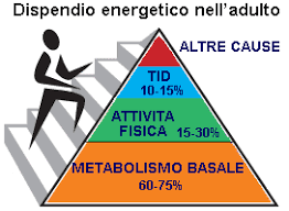 10 cibi che accelerano il metabolismo. Accelerare Il Metabolismo