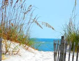 Maybe you would like to learn more about one of these? About Garden City Beach Dunes Realty