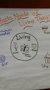 Basic Needs Of Living Things Anchor Chart At Workshop Kindergarten Science First Grade Science Special Education Science