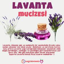 Lavanta In 2020 Natural Health Remedies Natural Health Health Remedies
