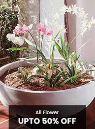 Unnerving in it's simplicity and beauty, no competition between. Michelle House Of Flowers