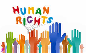 Image result for Human rights