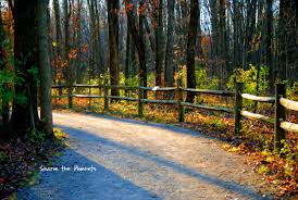 Blessings On Thanksgiving Day Sharon The Moments State Parks Around The Worlds Park