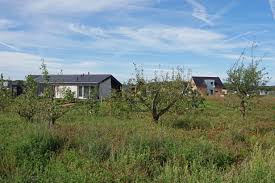 Oosterwolde, monique kleijne is hsp begeleider, hypnotherapeut, kindercoach en ervaringsdeskundige complexe scheidingen. Oosterwold Een Hybride Tussen Stad En Platteland Metropolitan Solutions