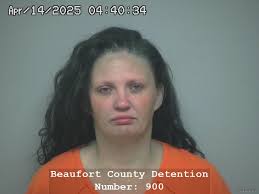 South Carolina Mugshots