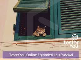 Tolga Mirmirik On Twitter Hazir Evdeyken Belki Kendisini Yazilim Testleri Konusunda Gelistirmek Isteyen Olur Suraya Birakayim Ve Evet O Pencereden Bakan Bir Kedi Https T Co 6qsqhflcpr