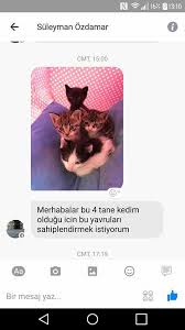 Gonzales Kedi Hersey
