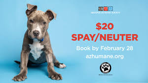 Thank you for your interest in having your pet spayed or neutered! Spay Neuter Surgeries For 20 At Ahs Veterinary Clinics Arizona Humane Society