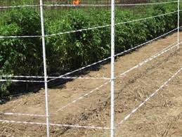 We did not find results for: 1 X 48 Fiberglass Fence Post 10 Bundle Gallagher Electric Fencing Gallagher Electric Fencing From Valley Farm Supply