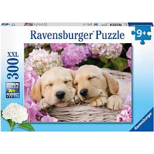 Süße hunde in den besten hundevideos im netz, aus youtube & co. Puzzle 300 Teile Xxl 49x36 Cm Susse Hunde Im Korbchen Ravensburger Mytoys