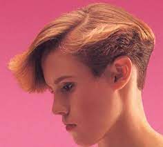 Short Back Cropped Gallery 1 Of 3 Wedge Hairstyles 80s Short Hair Short Wedge Hairstyles