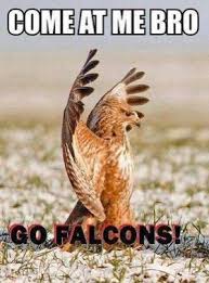 Pin By Tessa Page On Football Baby Atlanta Falcons Funny Falcons Atlanta Falcons Baby