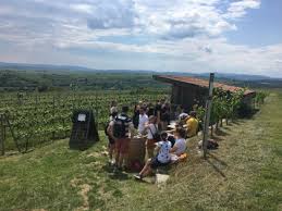 Weingartenschank am WEINWEG Langenlois