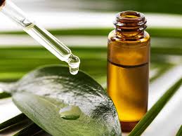 For this reason, it is wise to do a small skin patch test. Tea Tree Oil Benefits For Skin Care Hair Care Benefits Of Tea Tree Oil Vogue India Vogue India