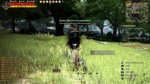 Black desert online download pc. Black Desert Online Download Gamefabrique