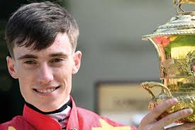 Thoroughbred Owner Breeder by The Owner Breeder